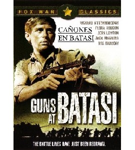 Guns at Batasi