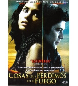 Things We Lost in the Fire