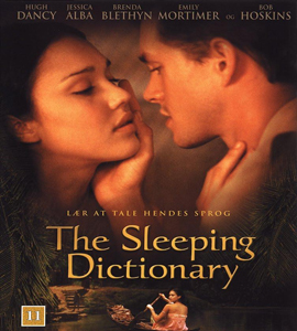 The Sleeping Dictionary