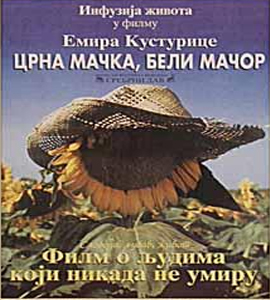 Crna macka, beli macor