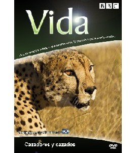 BBC Life - 7 Hunters And Hunted