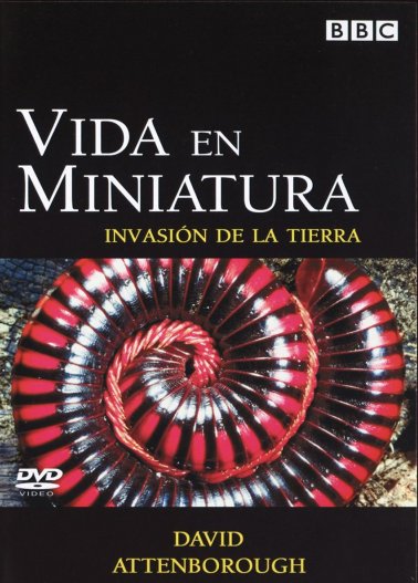 Life in the Undergrowth - 1 - Invasion of the Land