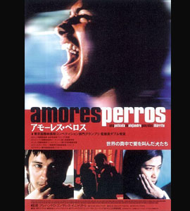 Amores Perros