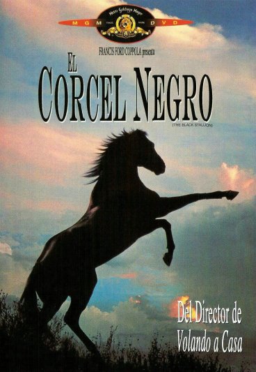 The Black Stallion