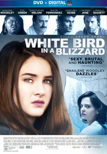 Pajaro blanco de la tormenta de nieve