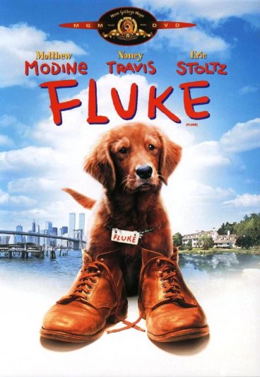 Fluke, memorias de otra vida