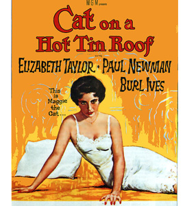 Cat on a Hot Tin Roof