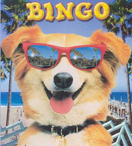 Bingo