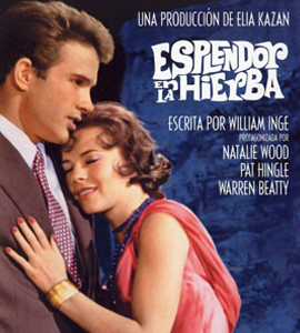 Splendor in the Grass