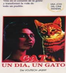 Az prijde kocour - The Cassandra Cat