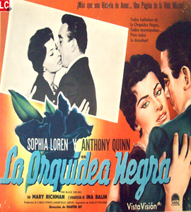 The Black Orchid