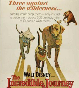 The Incredible Journey