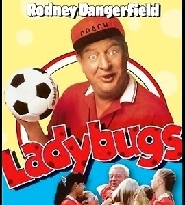 Ladybugs
