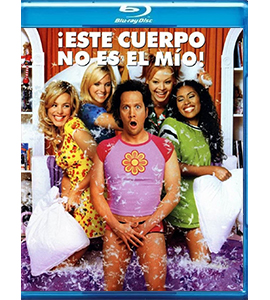 Blu-ray - The Hot Chick