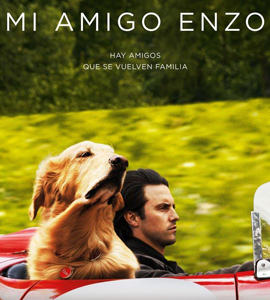 The Art of Racing in the Rain